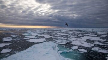 Kuzey Kutbu’nda 50 finans kuruluşu daha petrol ve doğal gaz yatırımlarından çekiliyor